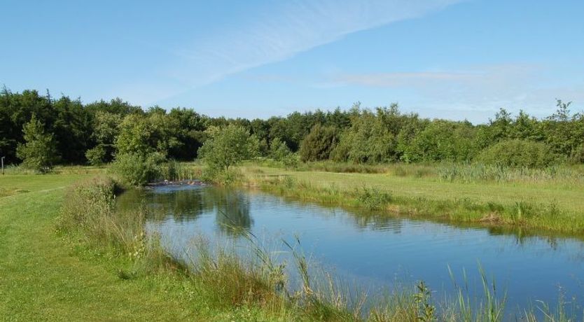 Photo of "Jani" - 25km from the sea