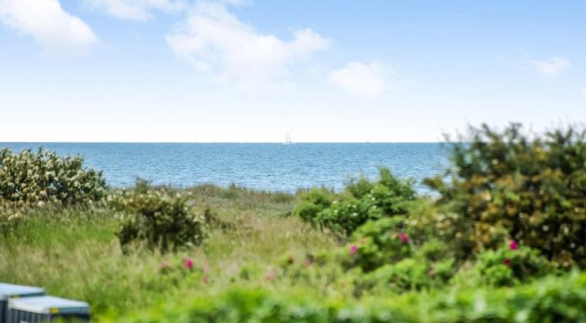 Photo of "Emin" - 100m from the sea