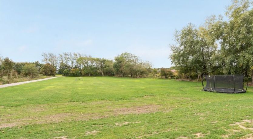 Photo of "Niki" - 15km from the sea