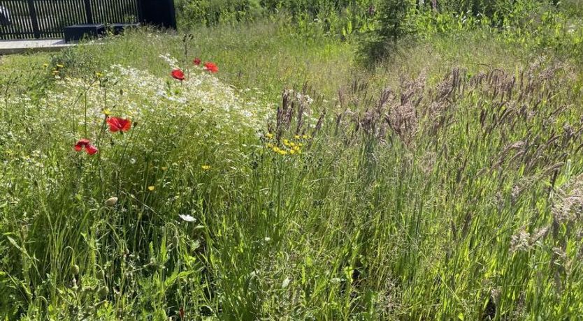 Photo of "Anelle" - 500m from the sea