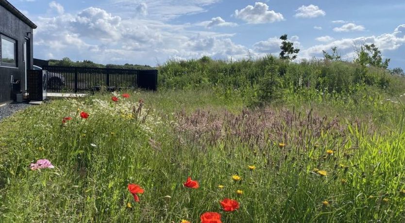 Photo of "Anelle" - 500m from the sea