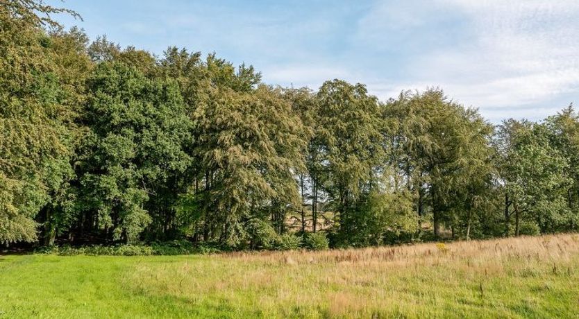 Photo of "Gjurgja" - 100m from the sea