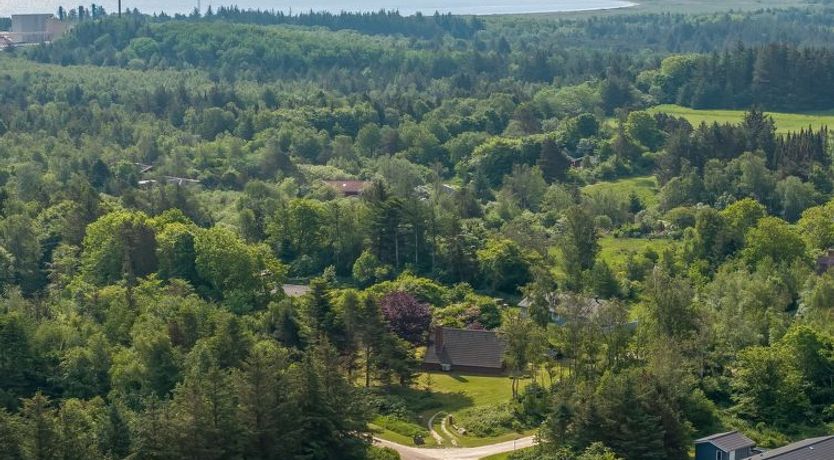 Photo of "Paale" - 200m to the fjord