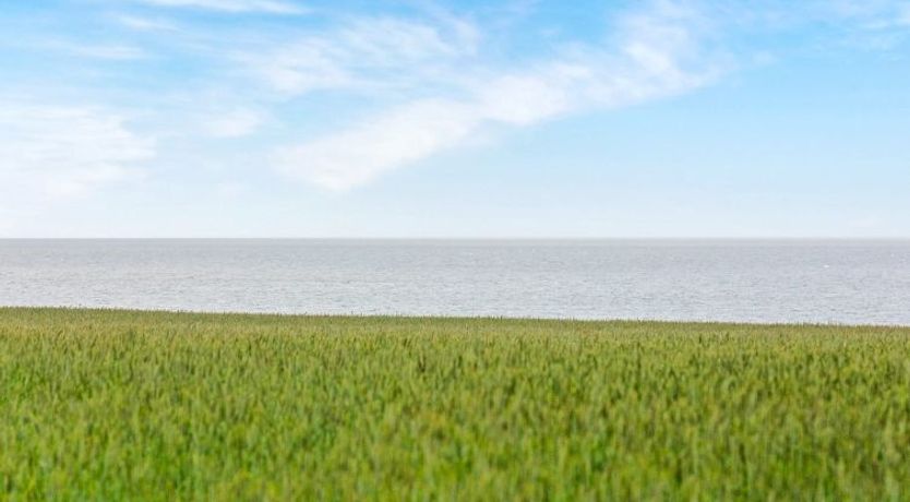 Photo of "Paale" - 200m to the fjord