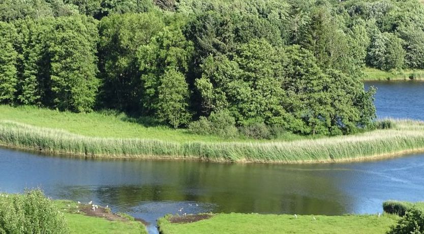 Photo of "Veselin" - 100m from the sea