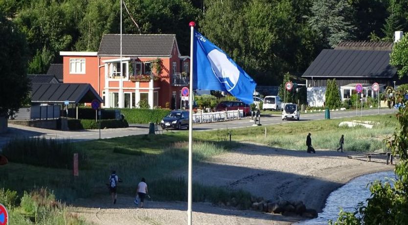 Photo of "Veselin" - 100m from the sea