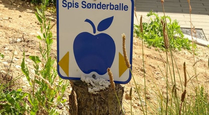 Photo of "Veselin" - 100m from the sea