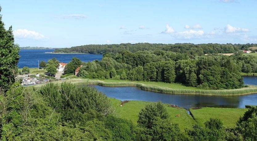 Photo of "Veselin" - 100m from the sea