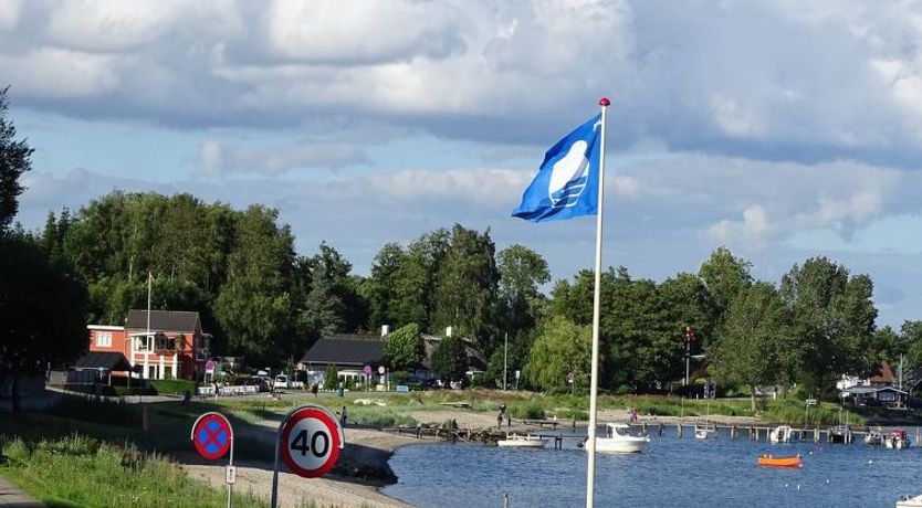 Photo of "Veselin" - 100m from the sea