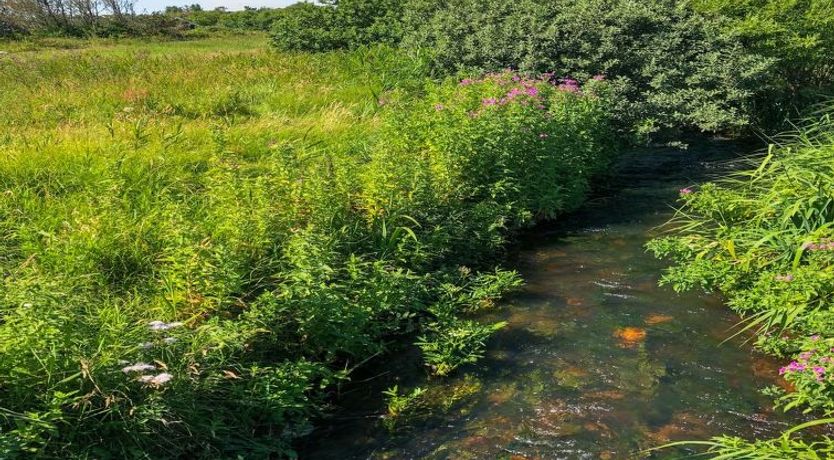 Photo of "Lökea" - 800m from the sea