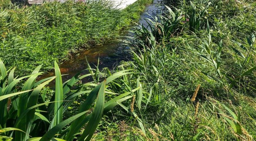 Photo of "Lökea" - 800m from the sea