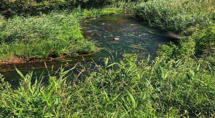 Photo of "Lökea" - 800m from the sea