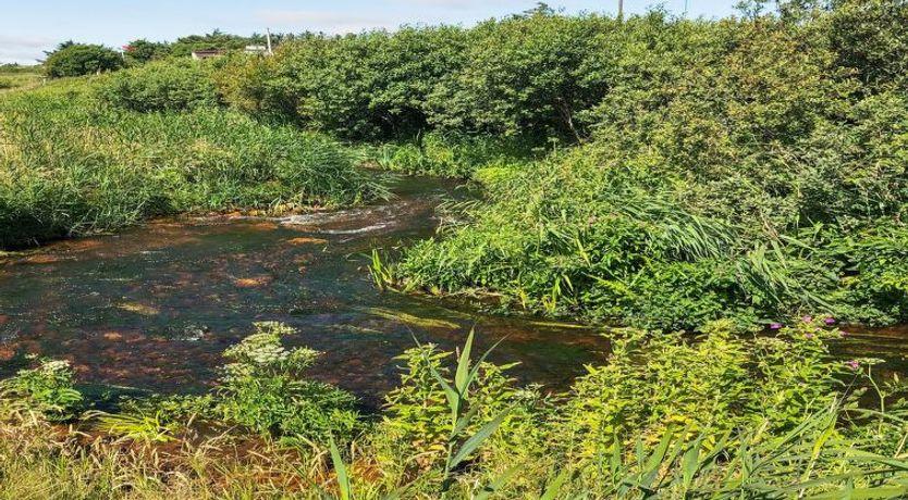 Photo of "Lökea" - 800m from the sea
