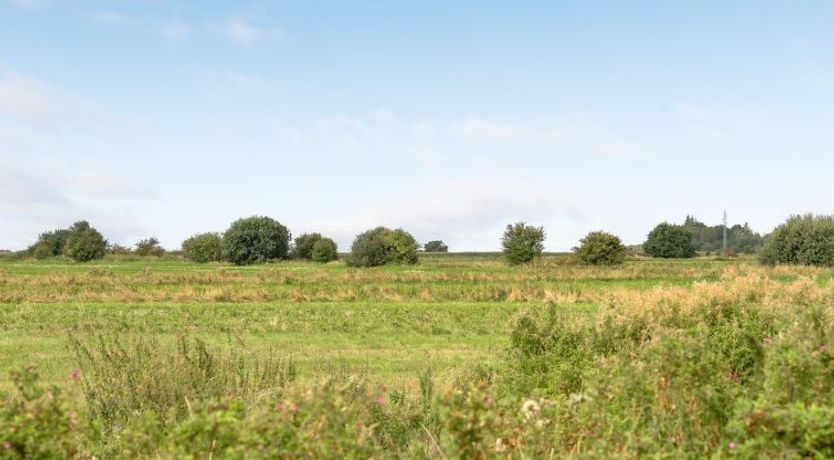 Photo of "Ewelina" - 15km from the sea