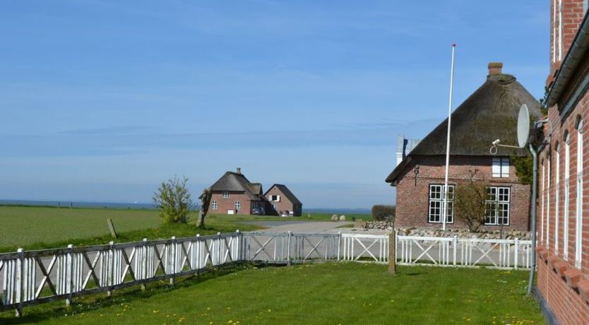 Photo of "Adine" - 13km from the sea