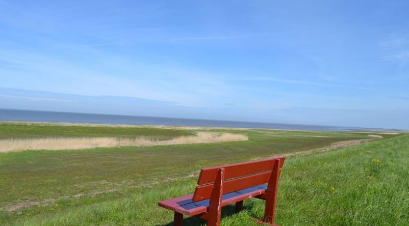 Photo of "Adine" - 13km from the sea