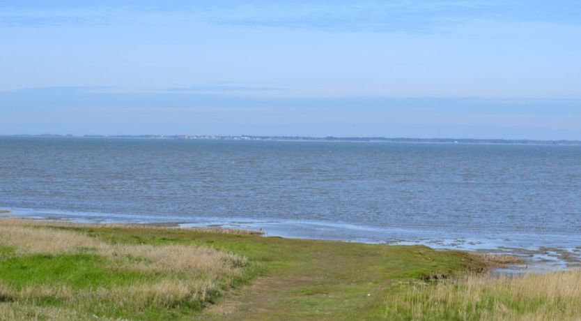 Photo of "Adine" - 13km from the sea