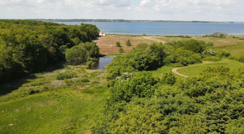 Photo of "Rosa" - 300m from the sea