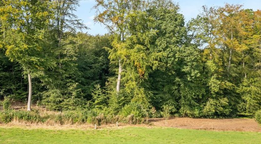 Photo of "Rosa" - 300m from the sea