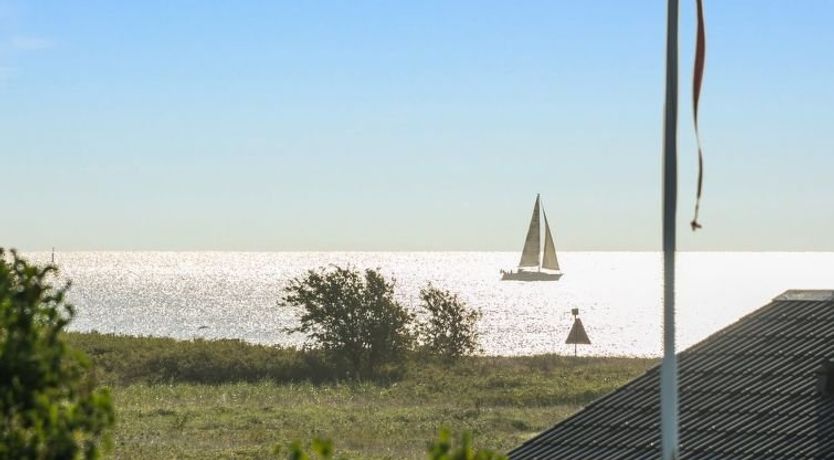 Photo of "Kaapo" - 300m from the sea in SE Jutland