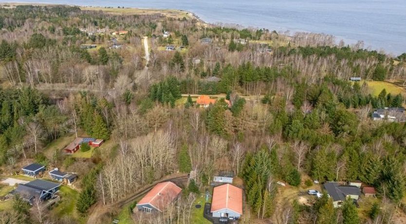 Photo of "Anine" - 200m to the fjord