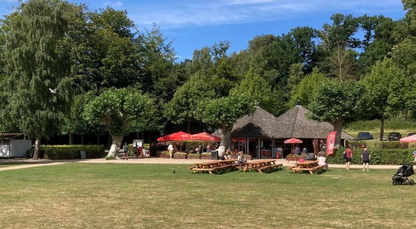 Photo of "Constance" - 50m from the sea