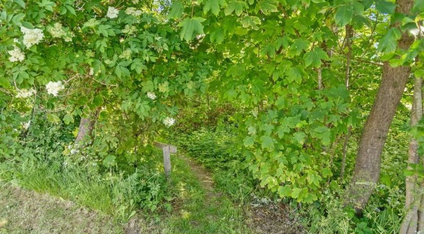 Photo of "Dvonta" - 170m from the sea