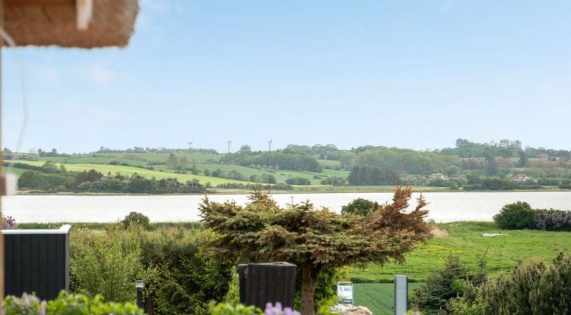 Photo of "Ginnie" - 300m from the sea