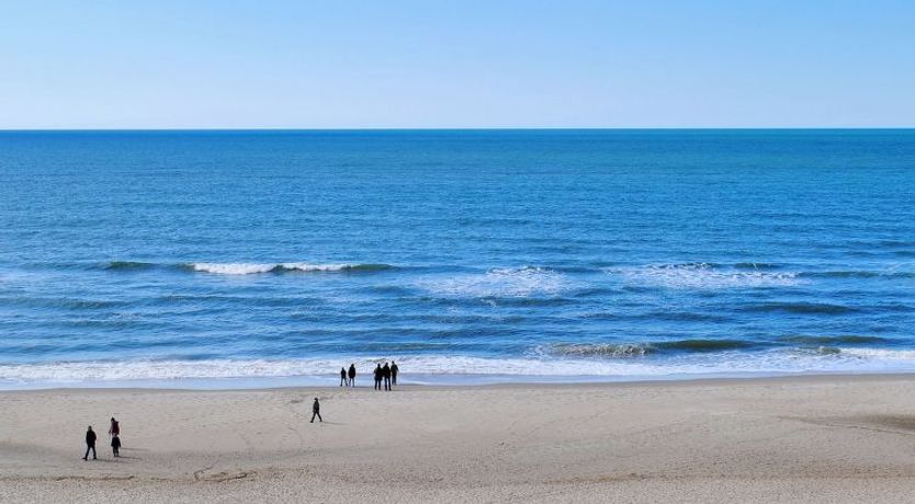 Photo of "Jannike" - 100m from the sea