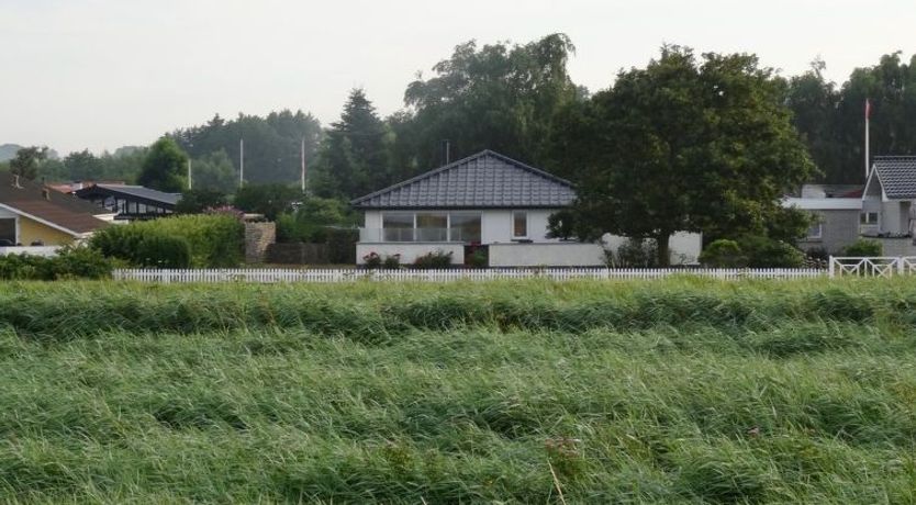 Photo of "Mayla" - 50m from the sea