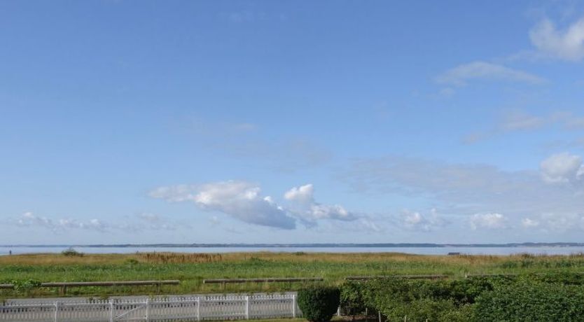 Photo of "Mayla" - 50m from the sea