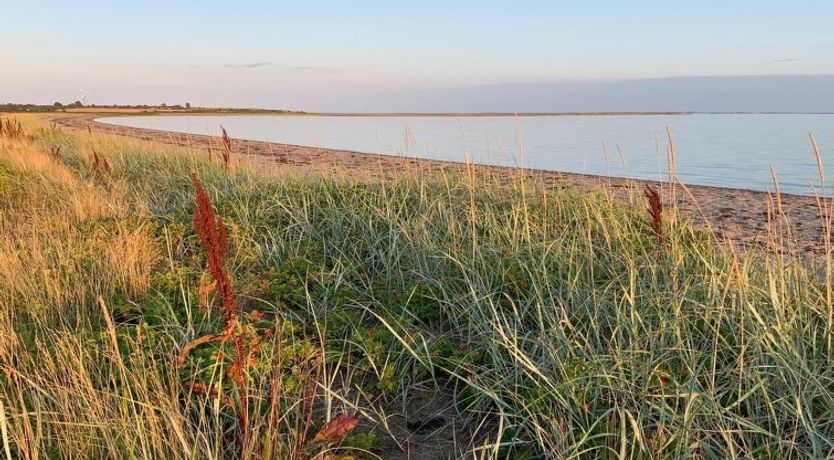 Photo of "Mayla" - 50m from the sea