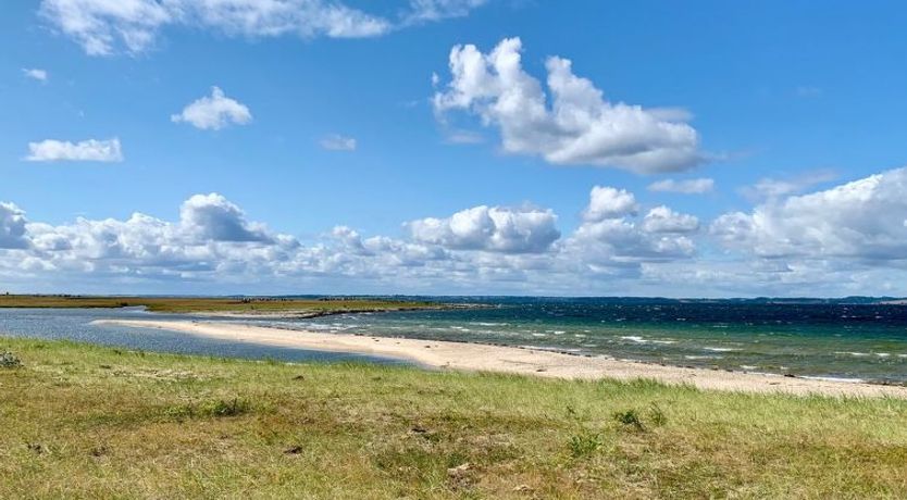 Photo of "Mayla" - 50m from the sea