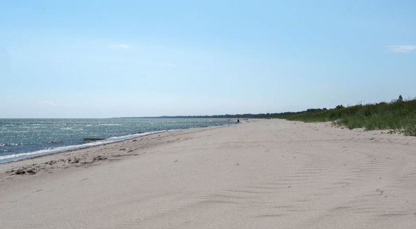 Photo of "Bertel" - 50m from the sea