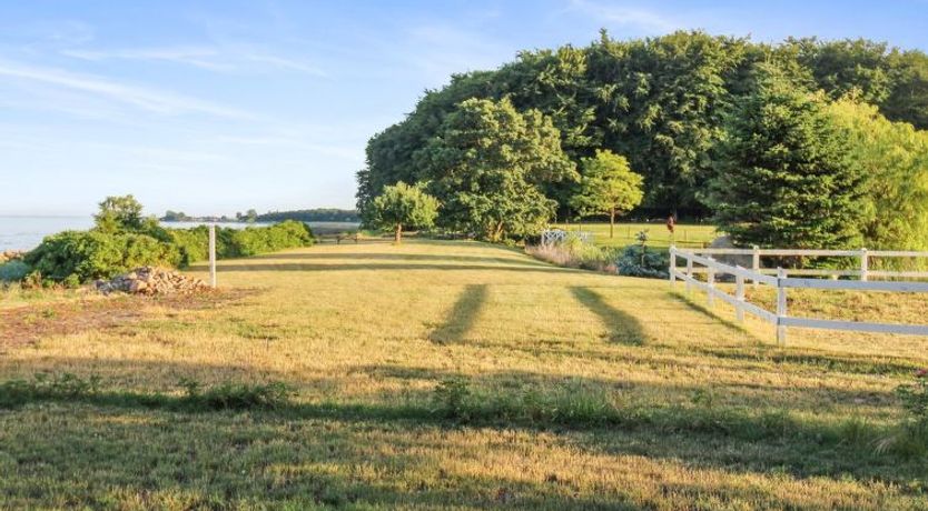 Photo of "Sasser" - 10m from the sea