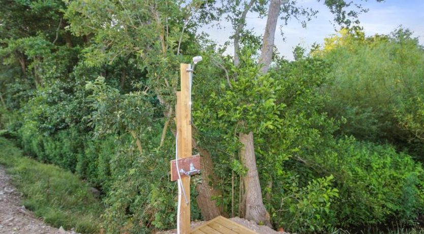 Photo of "Sasser" - 10m from the sea