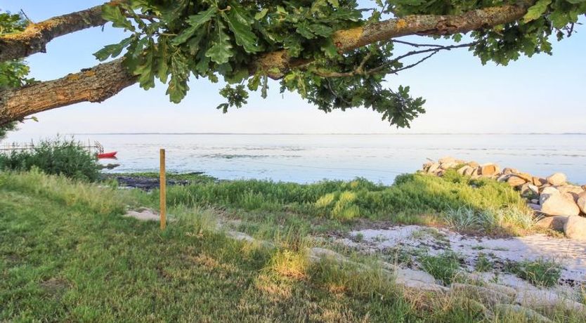 Photo of "Sasser" - 10m from the sea