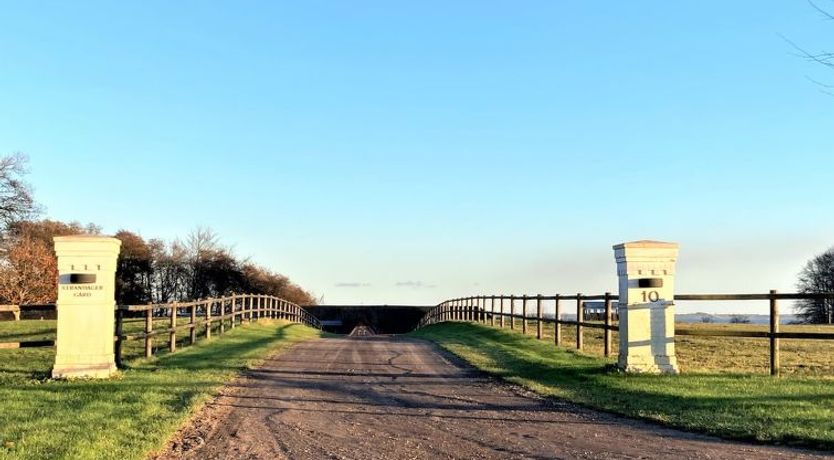 Photo of "Sasser" - 10m from the sea