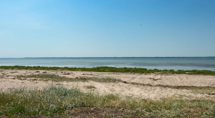 Photo of "Jaike" - 350m from the sea