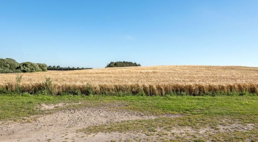 Photo of "Haralde" - 2.5km from the sea