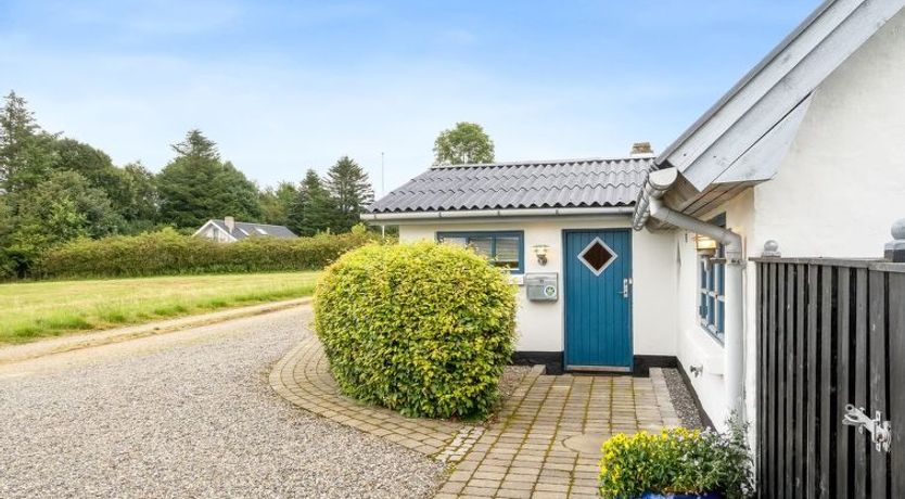 Photo of "Aliza" - 300m to the fjord