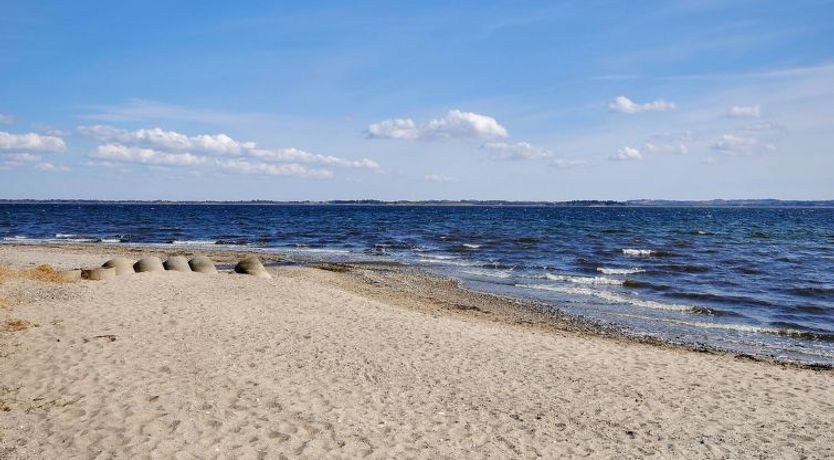 Photo of "Aliza" - 300m to the fjord