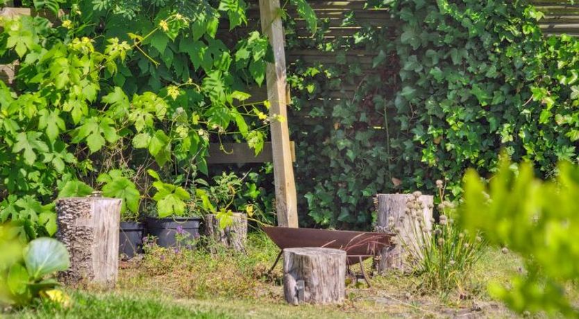 Photo of "Thomas" - 120m from the sea