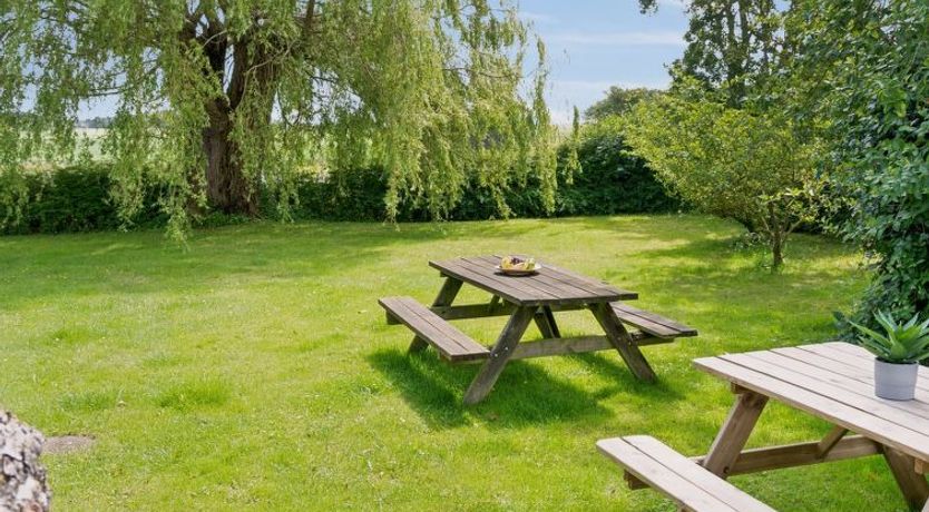 Photo of "Ilja" - 400m from the sea