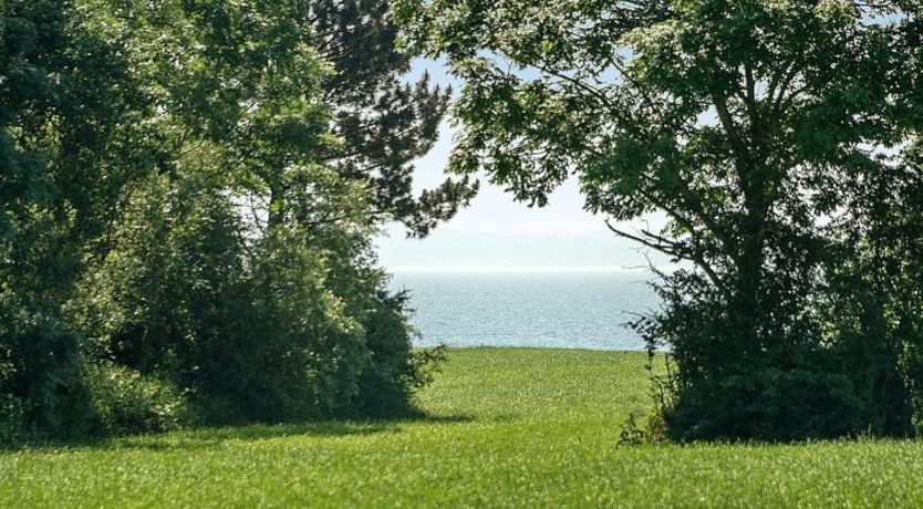 Photo of "Ilja" - 400m from the sea