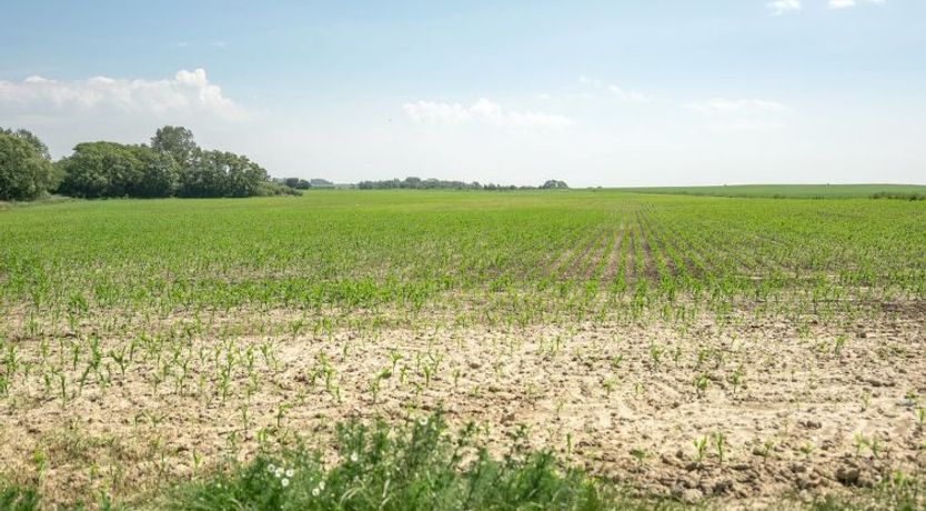 Photo of "Ilja" - 400m from the sea