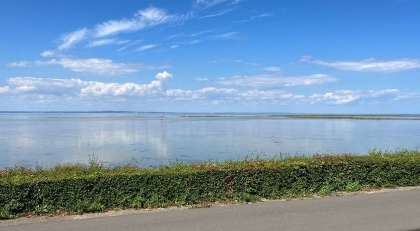 Photo of "Reinmoth" - 100m from the sea