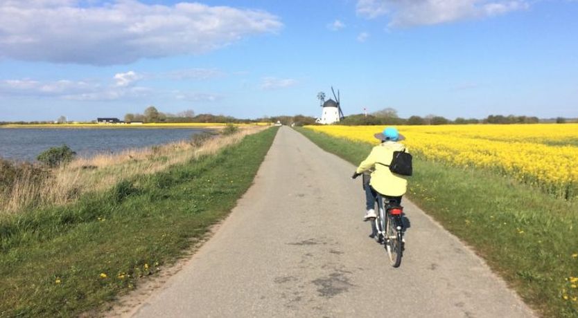 Photo of "Reinmoth" - 100m from the sea