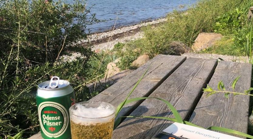 Photo of "Reinmoth" - 100m from the sea