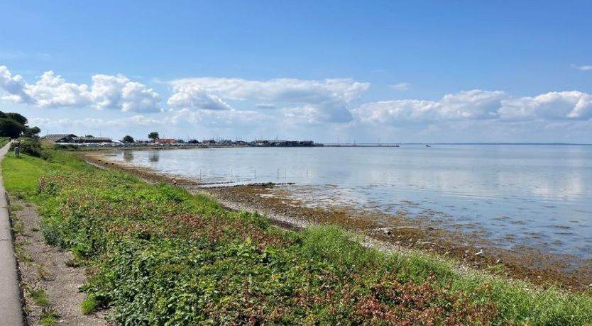 Photo of "Reinmoth" - 100m from the sea